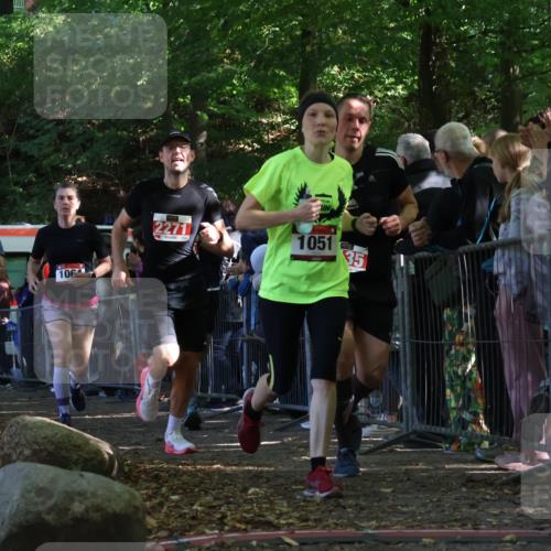 28.09.2025 - 33. Volkslauf durch das schöne Alstertal Strokosch-Dieckow http://msf.ph/oto/8973055 28.09.2025 12:10:21 Ziel 1051, 1064, 1722, 2135, 2271, 2307, 2588 meine-sportfotos.de