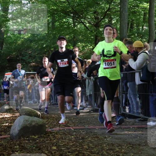28.09.2025 - 33. Volkslauf durch das schöne Alstertal Strokosch-Dieckow http://msf.ph/oto/8973057 28.09.2025 12:10:22 Ziel 1051, 1064, 1722, 2135, 2271, 2307, 2588 meine-sportfotos.de