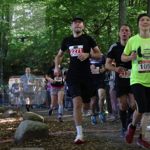 28.09.2025 - 33. Volkslauf durch das schöne Alstertal Strokosch-Dieckow http://msf.ph/oto/8973058 28.09.2025 12:10:23 Ziel 1051, 1064, 1722, 2135, 2216, 2271, 2305, 2307, 2588 meine-sportfotos.de