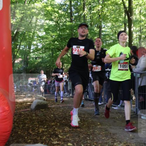 28.09.2025 - 33. Volkslauf durch das schöne Alstertal Strokosch-Dieckow http://msf.ph/oto/8973059 28.09.2025 12:10:23 Ziel 1051, 1064, 1722, 2135, 2216, 2271, 2305, 2307, 2588 meine-sportfotos.de