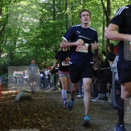 28.09.2025 - 33. Volkslauf durch das schöne Alstertal Strokosch-Dieckow http://msf.ph/oto/8973061 28.09.2025 12:10:24 Ziel 1064, 1722, 2135, 2216, 2271, 2305, 2307, 2588 meine-sportfotos.de
