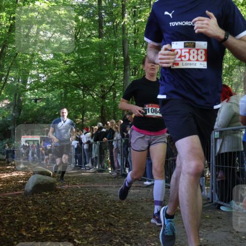 28.09.2025 - 33. Volkslauf durch das schöne Alstertal Strokosch-Dieckow http://msf.ph/oto/8973062 28.09.2025 12:10:25 Ziel 1064, 1722, 2216, 2305, 2307, 2550, 2588 meine-sportfotos.de
