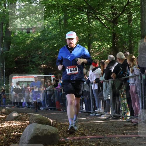 28.09.2025 - 33. Volkslauf durch das schöne Alstertal Strokosch-Dieckow http://msf.ph/oto/8973070 28.09.2025 12:10:36 Ziel 1640, 2362 meine-sportfotos.de