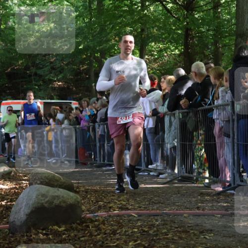 28.09.2025 - 33. Volkslauf durch das schöne Alstertal Strokosch-Dieckow http://msf.ph/oto/8973080 28.09.2025 12:10:45 Ziel 2072, 2425, 2619 meine-sportfotos.de