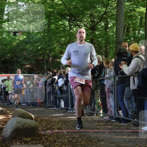 28.09.2025 - 33. Volkslauf durch das schöne Alstertal Strokosch-Dieckow http://msf.ph/oto/8973081 28.09.2025 12:10:46 Ziel 2072, 2425, 2619 meine-sportfotos.de