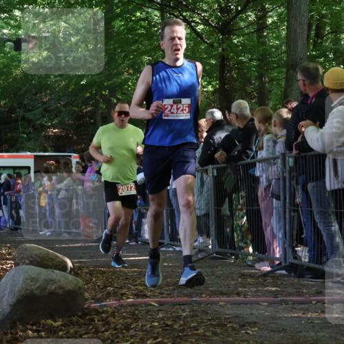 28.09.2025 - 33. Volkslauf durch das schöne Alstertal Strokosch-Dieckow http://msf.ph/oto/8973085 28.09.2025 12:10:50 Ziel 2072, 2425 meine-sportfotos.de