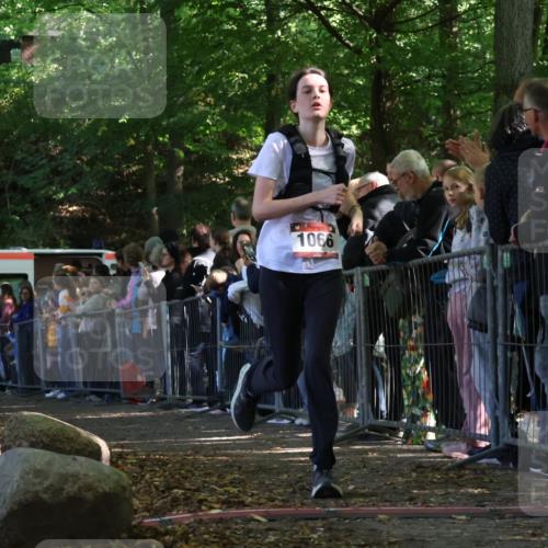 28.09.2025 - 33. Volkslauf durch das schöne Alstertal Strokosch-Dieckow http://msf.ph/oto/8973090 28.09.2025 12:11:02 Ziel 1066, 2555, 2998 meine-sportfotos.de