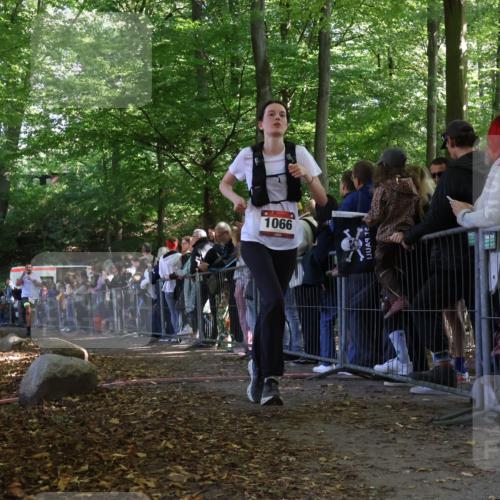 28.09.2025 - 33. Volkslauf durch das schöne Alstertal Strokosch-Dieckow http://msf.ph/oto/8973092 28.09.2025 12:11:03 Ziel 1066, 2204, 2555, 2998 meine-sportfotos.de
