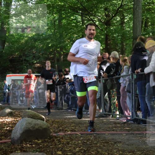 28.09.2025 - 33. Volkslauf durch das schöne Alstertal Strokosch-Dieckow http://msf.ph/oto/8973096 28.09.2025 12:11:08 Ziel 2204, 2555, 2998 meine-sportfotos.de