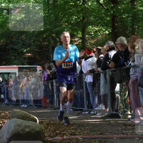 28.09.2025 - 33. Volkslauf durch das schöne Alstertal Strokosch-Dieckow http://msf.ph/oto/8973108 28.09.2025 12:11:25 Ziel 1843 meine-sportfotos.de
