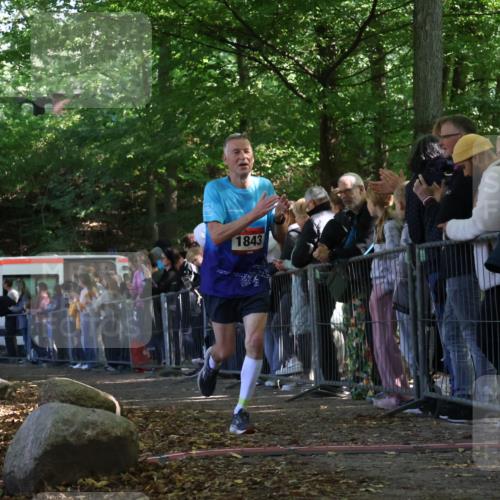 28.09.2025 - 33. Volkslauf durch das schöne Alstertal Strokosch-Dieckow http://msf.ph/oto/8973109 28.09.2025 12:11:26 Ziel 1843, 2522 meine-sportfotos.de