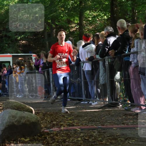 28.09.2025 - 33. Volkslauf durch das schöne Alstertal Strokosch-Dieckow http://msf.ph/oto/8973114 28.09.2025 12:11:33 Ziel 2514, 2522 meine-sportfotos.de