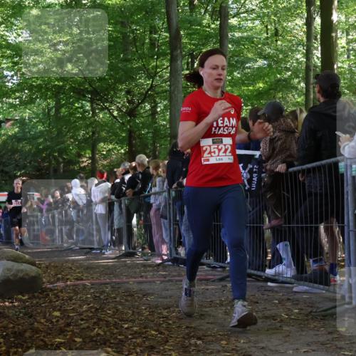 28.09.2025 - 33. Volkslauf durch das schöne Alstertal Strokosch-Dieckow http://msf.ph/oto/8973117 28.09.2025 12:11:35 Ziel 2514, 2522 meine-sportfotos.de