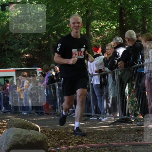 28.09.2025 - 33. Volkslauf durch das schöne Alstertal Strokosch-Dieckow http://msf.ph/oto/8973119 28.09.2025 12:11:38 Ziel 2514 meine-sportfotos.de