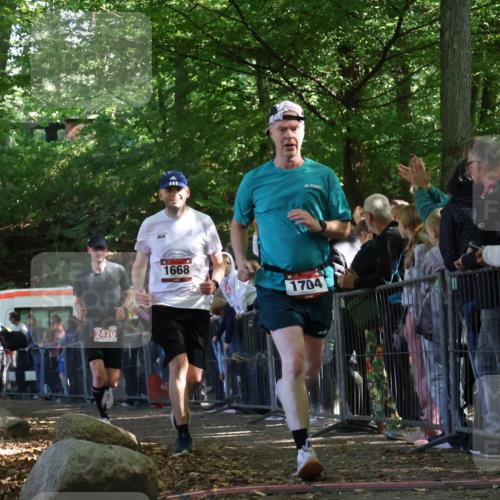 28.09.2025 - 33. Volkslauf durch das schöne Alstertal Strokosch-Dieckow http://msf.ph/oto/8973131 28.09.2025 12:12:04 Ziel 1668, 1704, 2470 meine-sportfotos.de