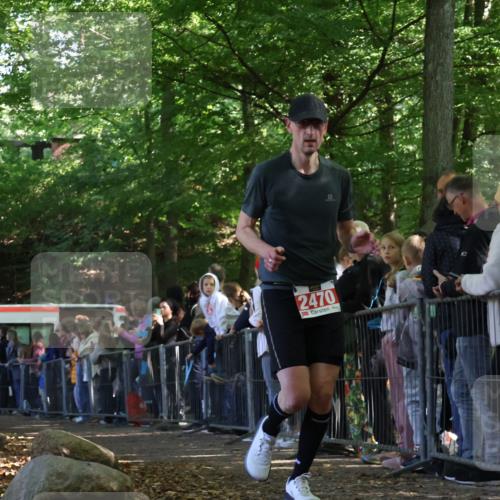 28.09.2025 - 33. Volkslauf durch das schöne Alstertal Strokosch-Dieckow http://msf.ph/oto/8973134 28.09.2025 12:12:07 Ziel 1668, 2470 meine-sportfotos.de