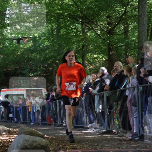 28.09.2025 - 33. Volkslauf durch das schöne Alstertal Strokosch-Dieckow http://msf.ph/oto/8973148 28.09.2025 12:12:22 Ziel 2592 meine-sportfotos.de