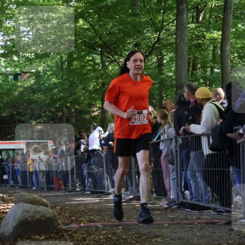 28.09.2025 - 33. Volkslauf durch das schöne Alstertal Strokosch-Dieckow http://msf.ph/oto/8973149 28.09.2025 12:12:23 Ziel 2592, 2595 meine-sportfotos.de