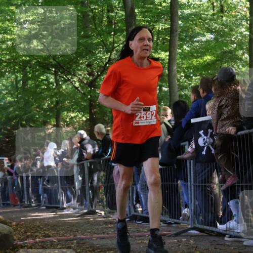 28.09.2025 - 33. Volkslauf durch das schöne Alstertal Strokosch-Dieckow http://msf.ph/oto/8973150 28.09.2025 12:12:24 Ziel 2458, 2592, 2595 meine-sportfotos.de