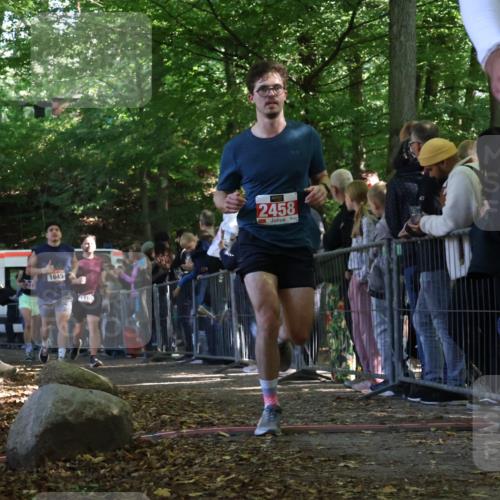 28.09.2025 - 33. Volkslauf durch das schöne Alstertal Strokosch-Dieckow http://msf.ph/oto/8973156 28.09.2025 12:12:32 Ziel 1645, 1710, 2373, 2458, 2595 meine-sportfotos.de