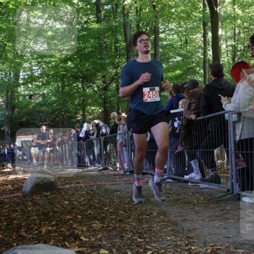 28.09.2025 - 33. Volkslauf durch das schöne Alstertal Strokosch-Dieckow http://msf.ph/oto/8973157 28.09.2025 12:12:33 Ziel 1645, 1710, 2373, 2458, 2595 meine-sportfotos.de