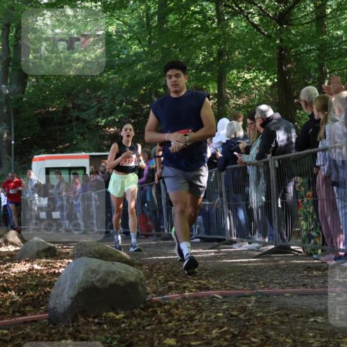 28.09.2025 - 33. Volkslauf durch das schöne Alstertal Strokosch-Dieckow http://msf.ph/oto/8973159 28.09.2025 12:12:35 Ziel 1645, 1710, 1714, 2373 meine-sportfotos.de