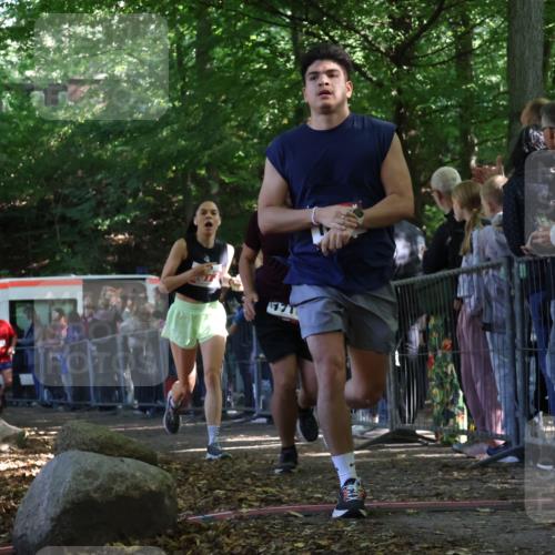 28.09.2025 - 33. Volkslauf durch das schöne Alstertal Strokosch-Dieckow http://msf.ph/oto/8973160 28.09.2025 12:12:36 Ziel 1041, 1645, 1710, 1714, 2373 meine-sportfotos.de