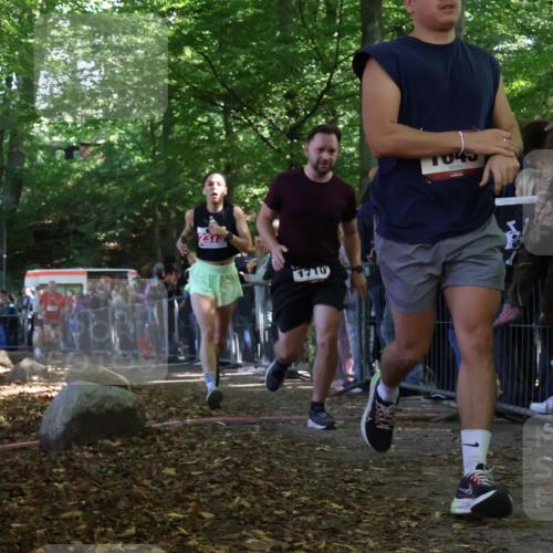 28.09.2025 - 33. Volkslauf durch das schöne Alstertal Strokosch-Dieckow http://msf.ph/oto/8973162 28.09.2025 12:12:37 Ziel 1041, 1645, 1710, 1714, 2373 meine-sportfotos.de