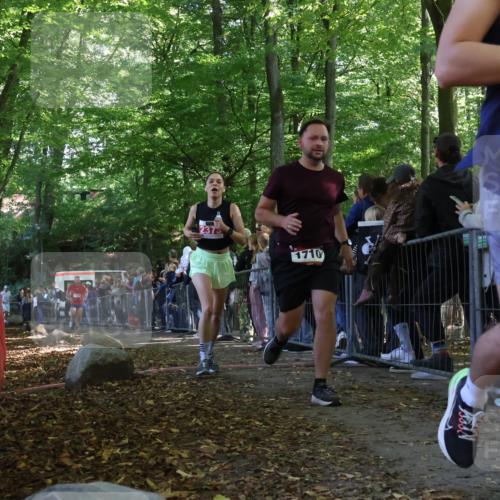 28.09.2025 - 33. Volkslauf durch das schöne Alstertal Strokosch-Dieckow http://msf.ph/oto/8973163 28.09.2025 12:12:38 Ziel 1041, 1710, 1714, 2373 meine-sportfotos.de