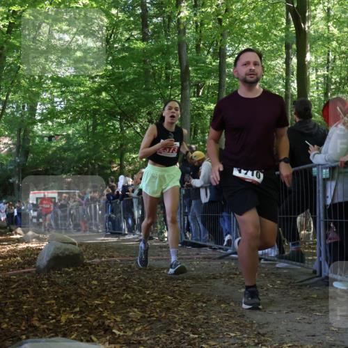 28.09.2025 - 33. Volkslauf durch das schöne Alstertal Strokosch-Dieckow http://msf.ph/oto/8973164 28.09.2025 12:12:38 Ziel 1041, 1710, 1714, 2373 meine-sportfotos.de