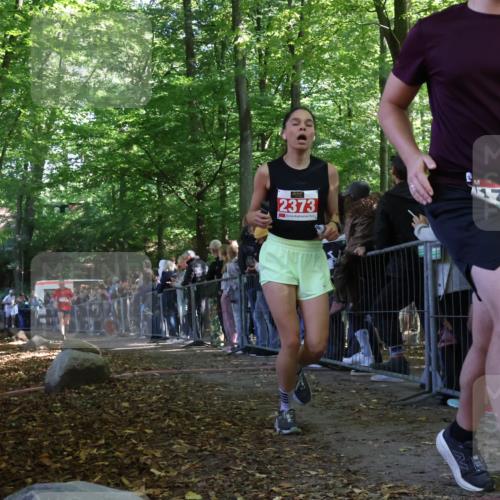 28.09.2025 - 33. Volkslauf durch das schöne Alstertal Strokosch-Dieckow http://msf.ph/oto/8973165 28.09.2025 12:12:39 Ziel 1041, 1714, 2373 meine-sportfotos.de