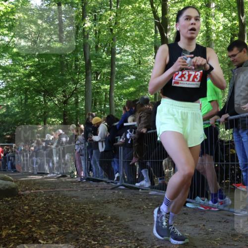 28.09.2025 - 33. Volkslauf durch das schöne Alstertal Strokosch-Dieckow http://msf.ph/oto/8973166 28.09.2025 12:12:39 Ziel 1041, 1714, 2373 meine-sportfotos.de
