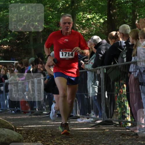 28.09.2025 - 33. Volkslauf durch das schöne Alstertal Strokosch-Dieckow http://msf.ph/oto/8973168 28.09.2025 12:12:43 Ziel 1041, 1714, 2094 meine-sportfotos.de