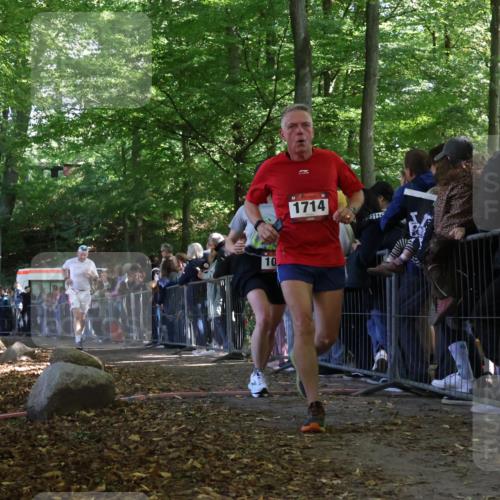 28.09.2025 - 33. Volkslauf durch das schöne Alstertal Strokosch-Dieckow http://msf.ph/oto/8973170 28.09.2025 12:12:44 Ziel 1041, 1714, 2094 meine-sportfotos.de