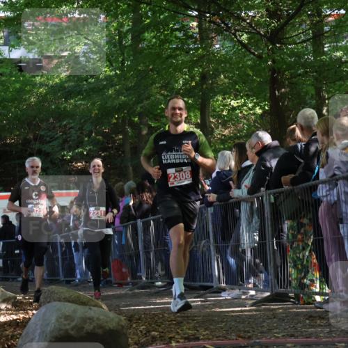 28.09.2025 - 33. Volkslauf durch das schöne Alstertal Strokosch-Dieckow http://msf.ph/oto/8973175 28.09.2025 12:12:53 Ziel 2231, 2308, 2323 meine-sportfotos.de