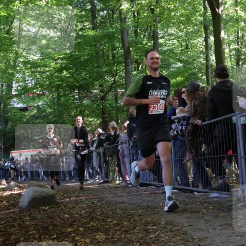 28.09.2025 - 33. Volkslauf durch das schöne Alstertal Strokosch-Dieckow http://msf.ph/oto/8973177 28.09.2025 12:12:55 Ziel 2103, 2231, 2308, 2323 meine-sportfotos.de