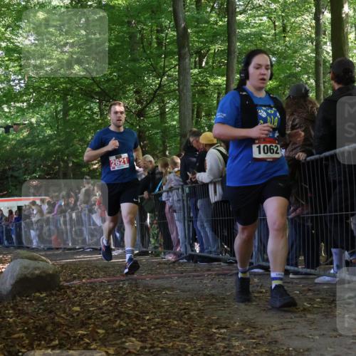 28.09.2025 - 33. Volkslauf durch das schöne Alstertal Strokosch-Dieckow http://msf.ph/oto/8973195 28.09.2025 12:13:12 Ziel 1062, 2621 meine-sportfotos.de
