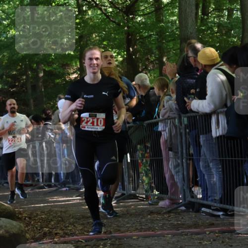 28.09.2025 - 33. Volkslauf durch das schöne Alstertal Strokosch-Dieckow http://msf.ph/oto/8973200 28.09.2025 12:13:45 Ziel 1134, 2210, 2284, 2518 meine-sportfotos.de