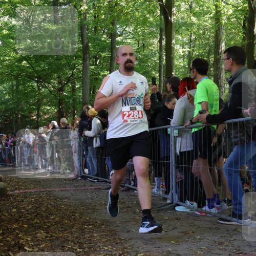 28.09.2025 - 33. Volkslauf durch das schöne Alstertal Strokosch-Dieckow http://msf.ph/oto/8973206 28.09.2025 12:13:48 Ziel 1134, 2284 meine-sportfotos.de
