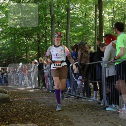 28.09.2025 - 33. Volkslauf durch das schöne Alstertal Strokosch-Dieckow http://msf.ph/oto/8973208 28.09.2025 12:13:53 Ziel 1033, 1134 meine-sportfotos.de