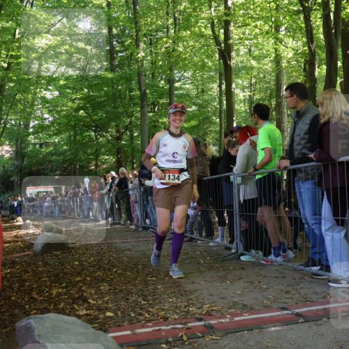 28.09.2025 - 33. Volkslauf durch das schöne Alstertal Strokosch-Dieckow http://msf.ph/oto/8973209 28.09.2025 12:13:54 Ziel 1033 meine-sportfotos.de
