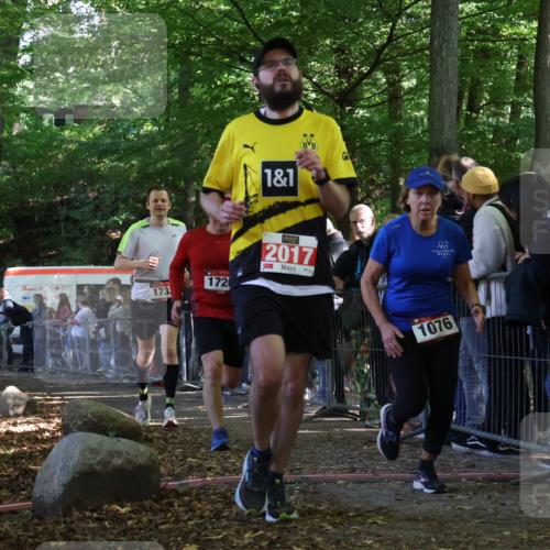 28.09.2025 - 33. Volkslauf durch das schöne Alstertal Strokosch-Dieckow http://msf.ph/oto/8973217 28.09.2025 12:14:11 Ziel 1076, 1720, 1733, 2017 meine-sportfotos.de