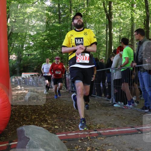 28.09.2025 - 33. Volkslauf durch das schöne Alstertal Strokosch-Dieckow http://msf.ph/oto/8973219 28.09.2025 12:14:12 Ziel 1076, 1720, 1733 meine-sportfotos.de
