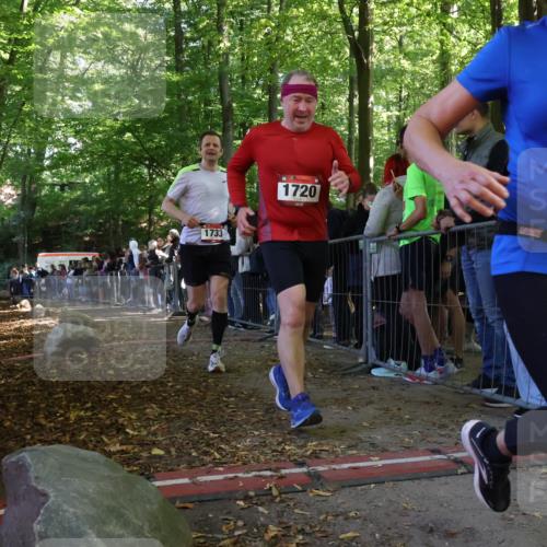 28.09.2025 - 33. Volkslauf durch das schöne Alstertal Strokosch-Dieckow http://msf.ph/oto/8973222 28.09.2025 12:14:13 Ziel 1720, 1733 meine-sportfotos.de