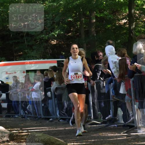28.09.2025 - 33. Volkslauf durch das schöne Alstertal Strokosch-Dieckow http://msf.ph/oto/8973226 28.09.2025 12:14:24 Ziel 2019, 2340, 2572 meine-sportfotos.de