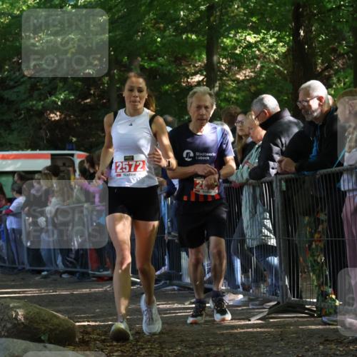 28.09.2025 - 33. Volkslauf durch das schöne Alstertal Strokosch-Dieckow http://msf.ph/oto/8973228 28.09.2025 12:14:26 Ziel 2019, 2340, 2572 meine-sportfotos.de