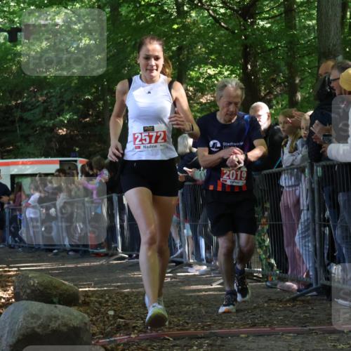 28.09.2025 - 33. Volkslauf durch das schöne Alstertal Strokosch-Dieckow http://msf.ph/oto/8973230 28.09.2025 12:14:28 Ziel 2019, 2340, 2572 meine-sportfotos.de