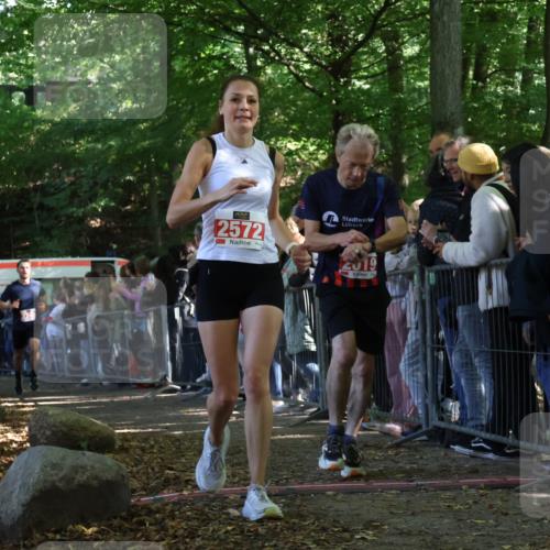 28.09.2025 - 33. Volkslauf durch das schöne Alstertal Strokosch-Dieckow http://msf.ph/oto/8973231 28.09.2025 12:14:28 Ziel 2019, 2340, 2572 meine-sportfotos.de