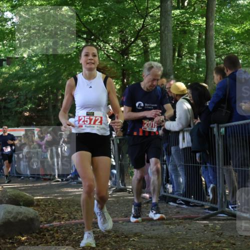 28.09.2025 - 33. Volkslauf durch das schöne Alstertal Strokosch-Dieckow http://msf.ph/oto/8973232 28.09.2025 12:14:28 Ziel 2019, 2340, 2572 meine-sportfotos.de