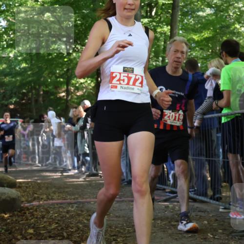 28.09.2025 - 33. Volkslauf durch das schöne Alstertal Strokosch-Dieckow http://msf.ph/oto/8973234 28.09.2025 12:14:29 Ziel 1056, 2019, 2340 meine-sportfotos.de
